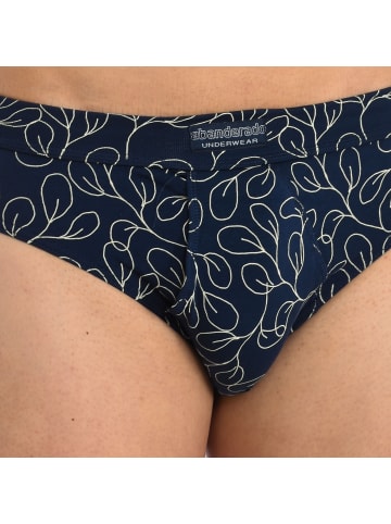 Abanderado 2er-Set: Slip in Multicolored