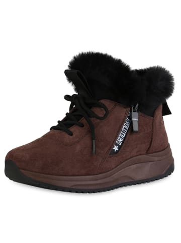 VAN HILL Sneaker Low Emily in Braun