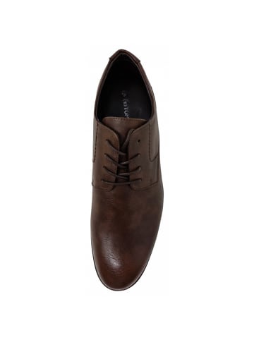 Tom Tailor eleganter Schnürer  in Braun