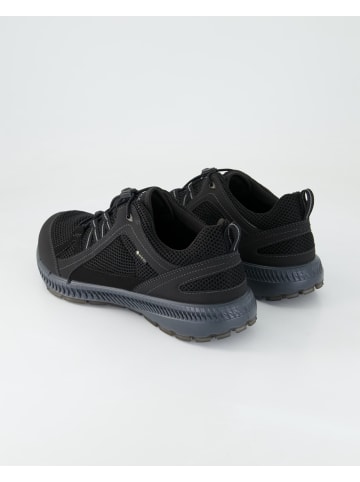 Ecco Sneaker low in Schwarz