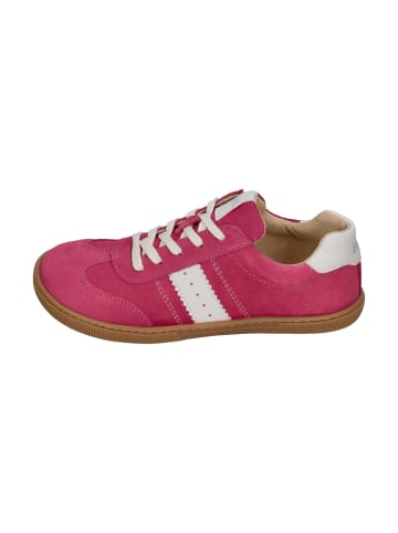 KOEL Sneaker Low DECLAN SUEDE 3.0 in rosa