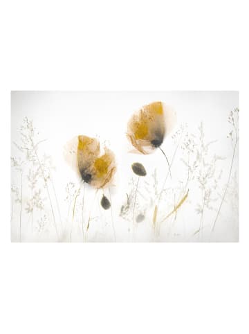 WALLART Leinwandbild - Mohnblumen und zarte Gräser im weichen Nebel in Weiß