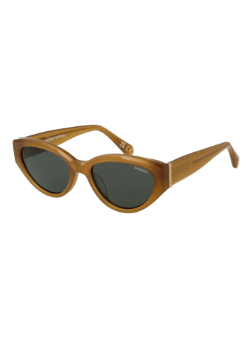 Superdry Frauen Sonnenbrille Katzenauge Honig