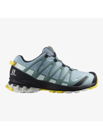 SALOMON Trailschuhe/Outdoorschuhe SHOES XA PRO 3D v8 GTX in Blau