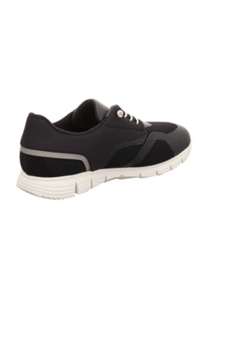 Sioux Sneaker Low in blau