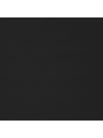 SAVE THE DUCK Parka Leyla in schwarz