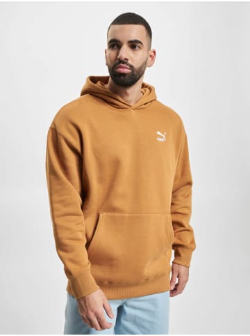 Puma Hoodie in brown