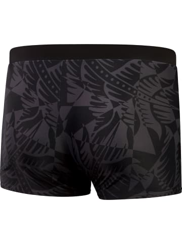 Speedo Kastenbadehose Valmilton in black-oxid grey