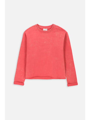 Coccodrillo Sweatshirt in rot