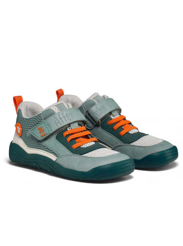 Affenzahn Klettschuh Charly Hase in Grün