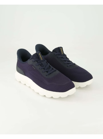 Geox Sneaker low in Blau