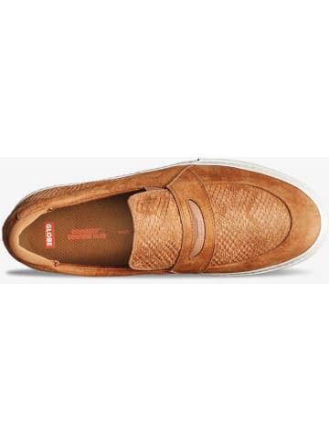 Globe Skaterschuhe Liaizon Cashew Antique