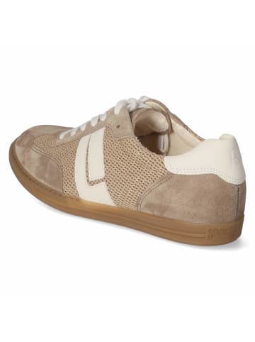 Paul Green Schnürhalbschuh in beige