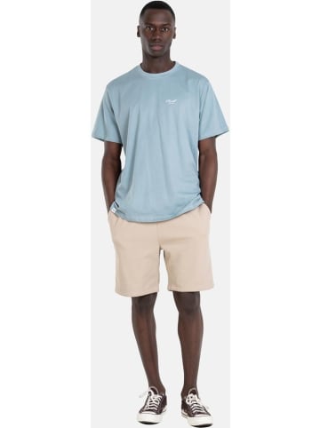 Reell T-Shirt "Staple Logo T-Shirt" in Blau