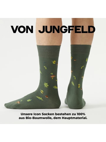 von Jungfeld Gemusterte Socken Herbst Icons in Duck Pond