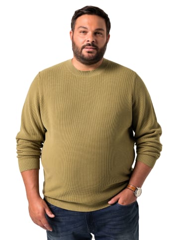 Men Plus Pullover in grün