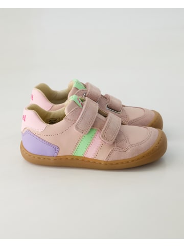 KOEL Klettschuhe in Rosa