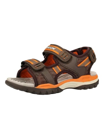 Geox Sandalen in Braun/Orange