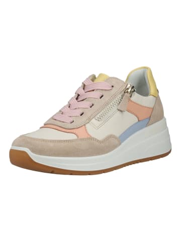 ara Sneaker Mehrfarbig