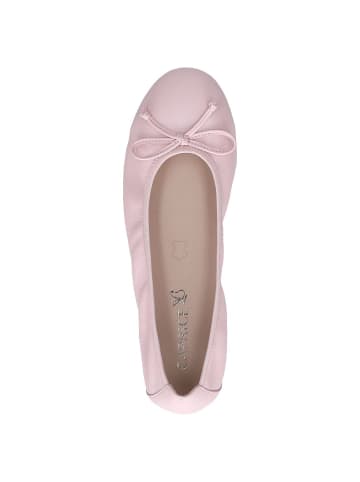 Caprice Ballerina in ROSE PERLATO