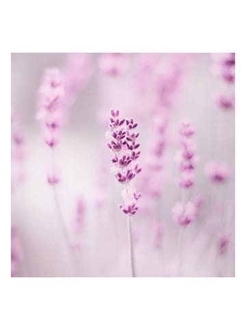 WALLART Leinwandbild - Zartvioletter Lavendel in Violett
