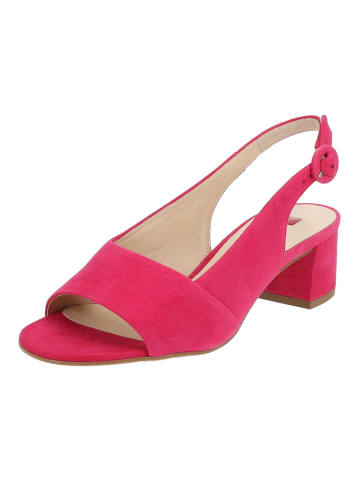 Högl Pumps in Pink