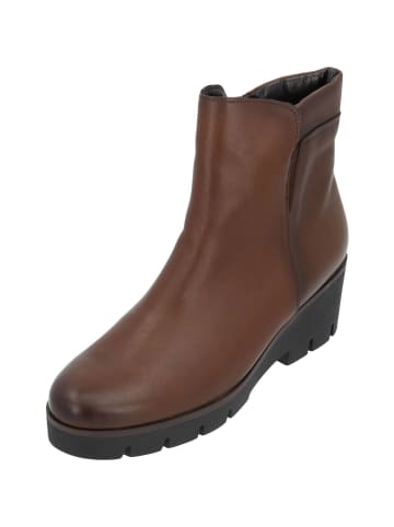 Gabor Chelsea Boots in cognac