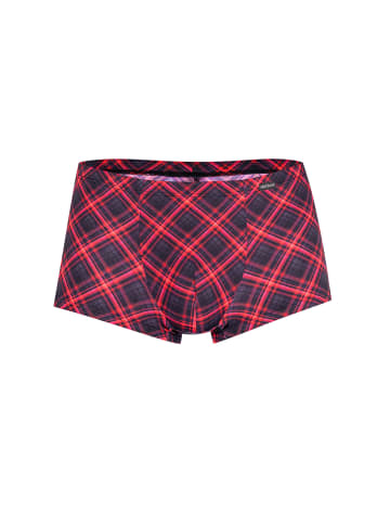 Olaf Benz Retro Pants RED2426 Minipants in check red
