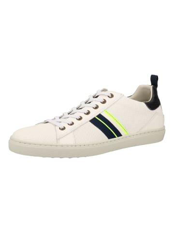 Bullboxer Sneaker in White