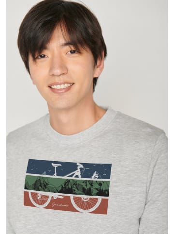 GreenBomb Wild Bike Mountain in Heidekraut Grau