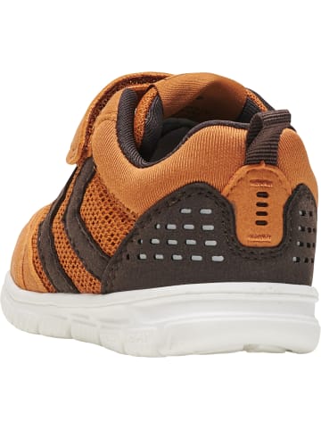 Hummel Klettverschluss Sneaker Crosslite Winter Lebensstil Kinder in CHOCOLATE CHIP