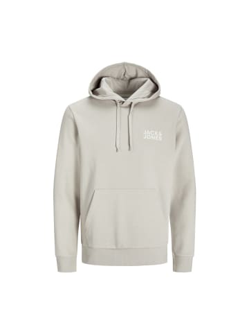 Jack & Jones Sweatshirt in moonbeam