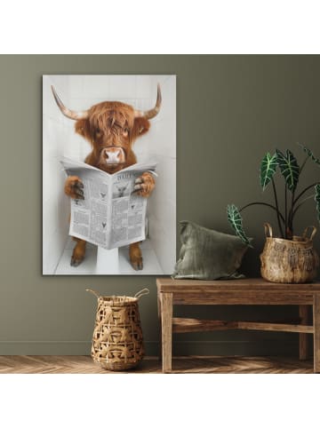OnlyWow Akustibild Zeitung Schottisches Hochlandrind