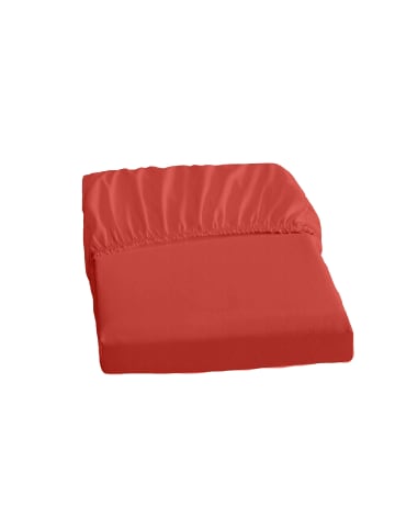 Dormisette Spannbetttuch Frotte-Stretch in rot