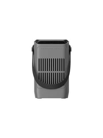 Ecoflow TRAIL 300 DC tragbare Powerstation