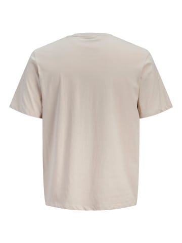 JACK & JONES Junior Basic T-Shirt Jjhonolulu in moonbeam