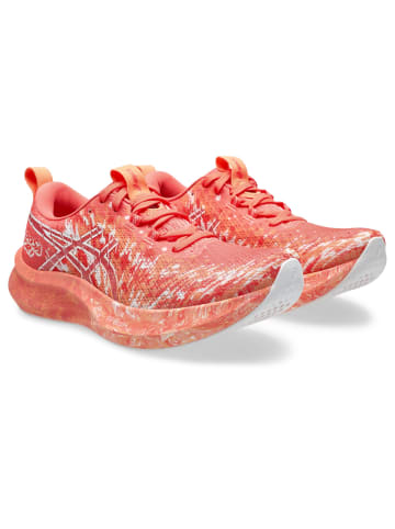 asics Laufschuhe NOOSA TRI 16 in papaya/mojave