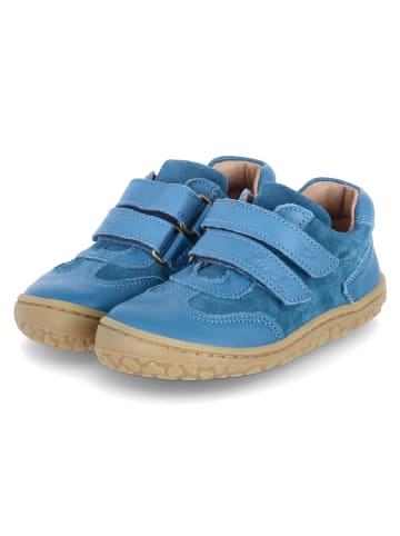 Lurchi Low Sneaker NEVEN BAREFOOT in Blau