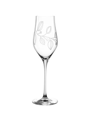 LEONARDO Champagnerglas BOCCIO 340ml 6er-Set