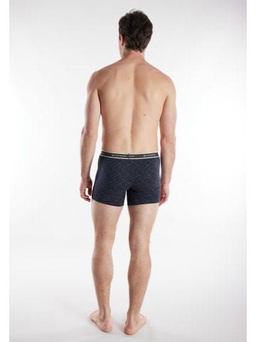 Tom Tailor Long-Pants 2Er Pack Kentucky in grün-mittel-Allover