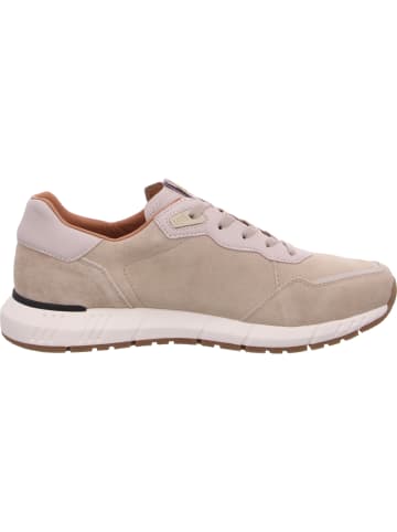 SALAMANDER Sneaker  in Beige