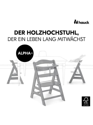Hauck Hochstuhl Alpha Plus Grey - im Sparset inkl. in gray