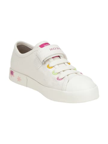 Geox Sneaker Low in Weiß