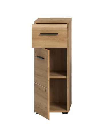 ebuy24 Badschrank Ice Eiche 30 x 30 cm
