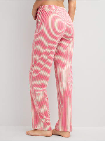 Calida Pyjamahose in sugar melon