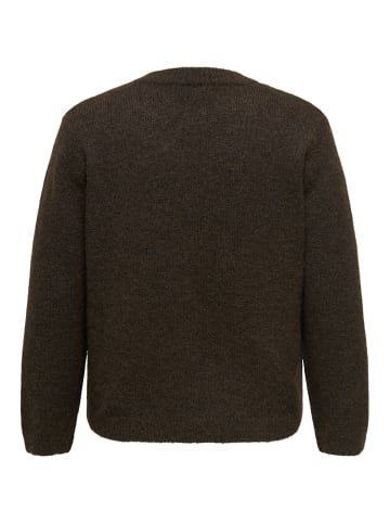 ONLY Carmakoma Strickpullover in Coffee Bean 1