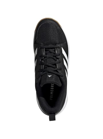 adidas Performance Hallenschuhe Ligra 7 in core black
