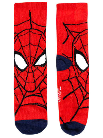 Cerda 4er - Pack Kindersocken Spider-Man Geschenkset in Spardose  in Bunt