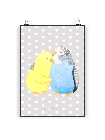 Mr. & Mrs. Panda Poster Wellensittich Liebe ohne Spruch in Grau Pastell