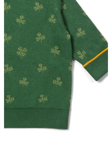 Little Green Radicals Organic Knitted Jumper in Green